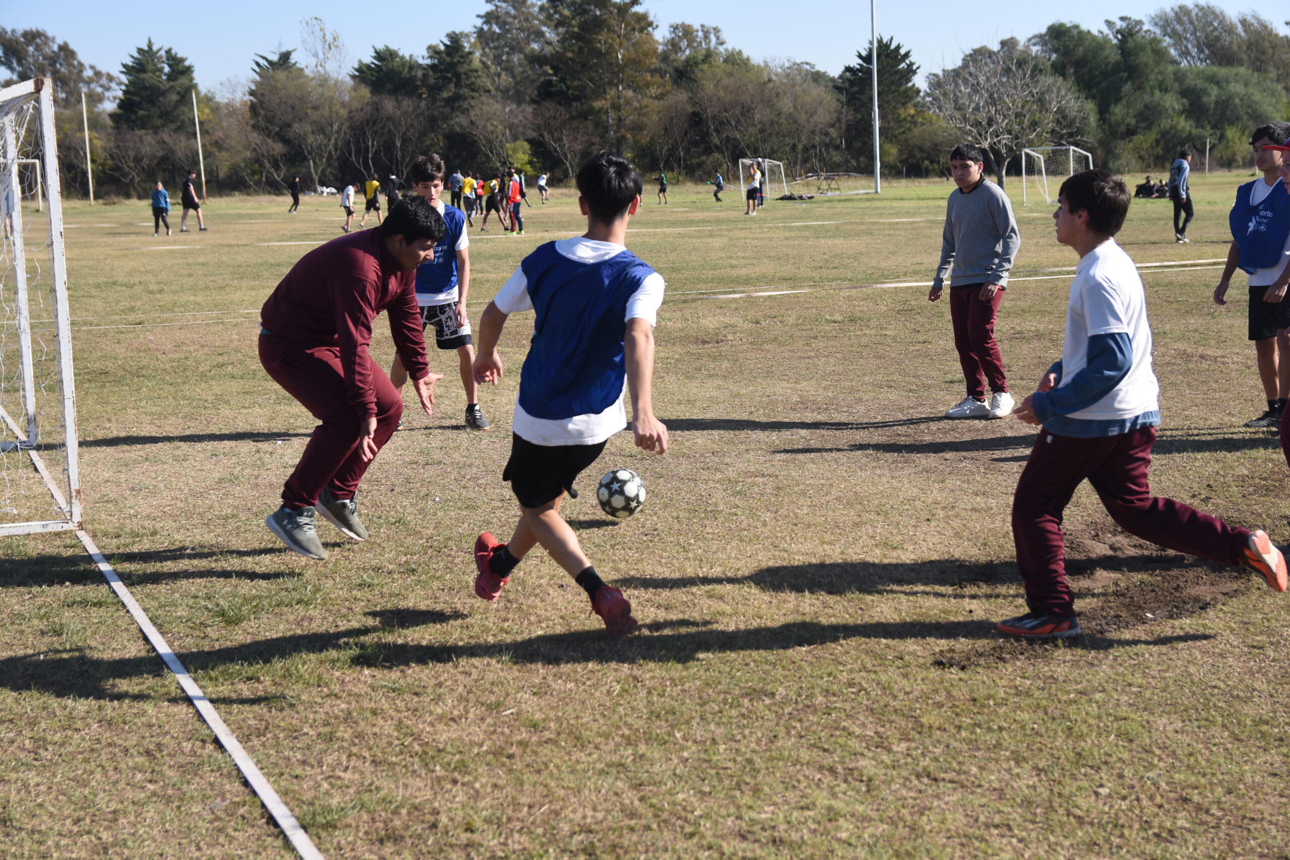 Más de 700 estudiantes participaron de una nueva semana de Encuentros Deportivos Colegiales